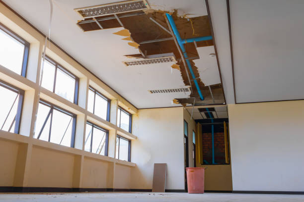 Best Flood damage cleanup  in Menifee, CA