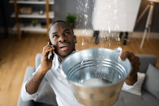 Best Water damage contractors near me  in Menifee, CA