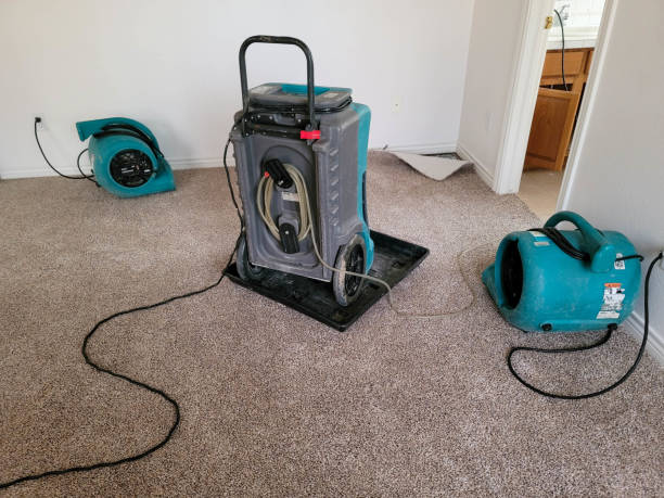 Best Residential water damage restoration  in Menifee, CA