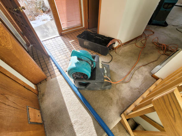 Best Water damage restoration company  in Menifee, CA