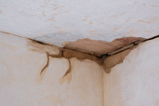 Best Water damage cleanup near me  in Menifee, CA