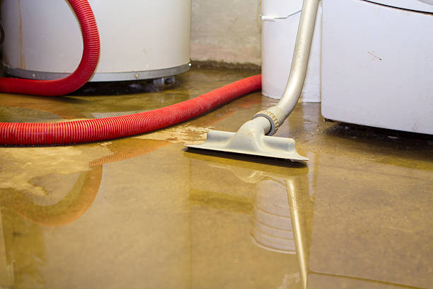 Water damage restoration experts in Menifee, CA