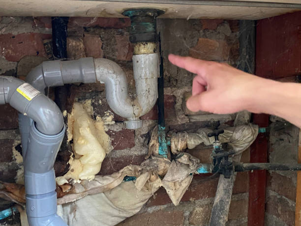 Best Carpet water damage restoration  in Menifee, CA